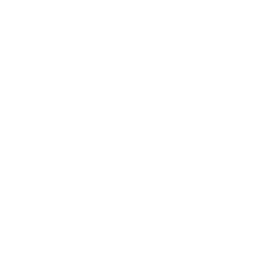 Single Point of Access Service.png
